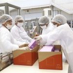 Fábrica na Natura em Cajamar