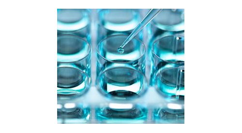 Croda Brasil investe em infraestrutura e tecnologia para expandir presença na América Latina 