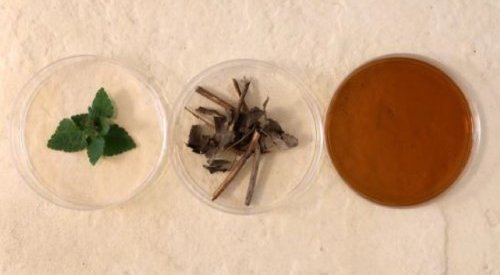 Patchoul'Up, novo ingrediente da coleção de ativos revalorizados da Givaudan