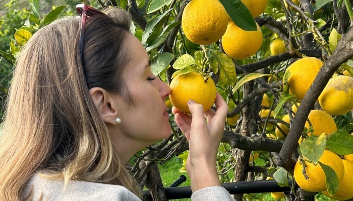 Givaudan investe no potencial criativo e inovador dos cítricos para o Brasil