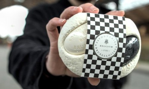 Material à base de cogumelos supera o plástico nas embalagens de startup belga