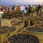 Açaí no porto de Belém