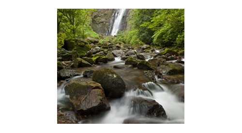 Challenges and opportunities for sustainable cosmetics in Brazil