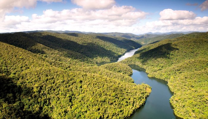 IFF vai instalar um laboratório na maior reserva de Mata Atlântica do país