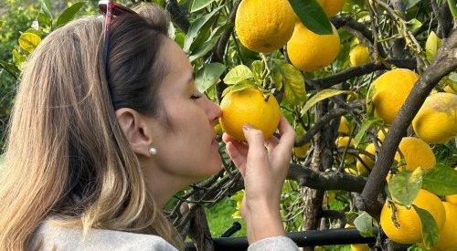 Givaudan investe no potencial criativo e inovador dos cítricos para o Brasil