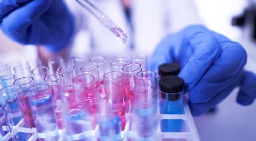 Células de rosa e plâncton termal: a biotecnologia a serviço dos cosméticos