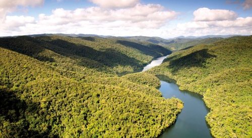IFF vai instalar um laboratório na maior reserva de Mata Atlântica do país