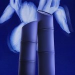 Nova fragrância masculina de Kenzo foca na natureza, moda e sustentabilidade (Foto: divulgação / Kenzo)