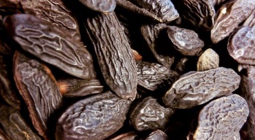 Fragrâncias: O Tonka Bean CO2 Absolute completa a linha sustentável da LMR