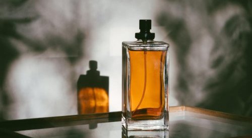 Perfumes: Nelixia promove exploração sustentável de árvores de pau-santo