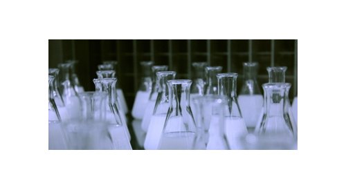 Global competition launched to find preservative innovators