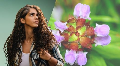 BASF Personal Care lança Ameriflor Calm para fortalecer peles sensíveis