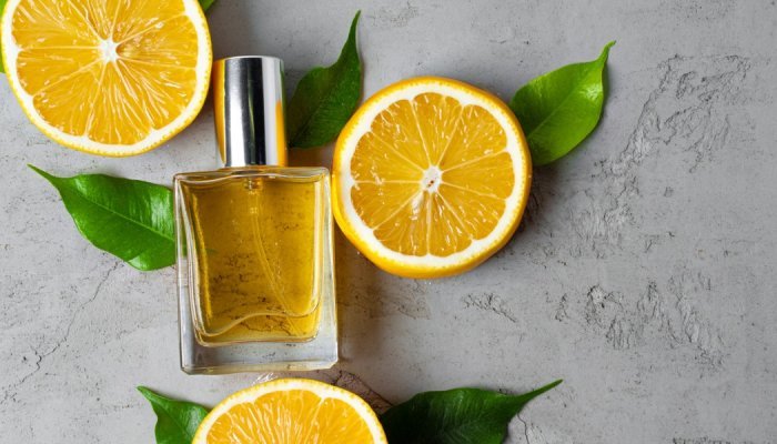 Scentree, site de classificação de ingredientes para perfumes, ganha novo design