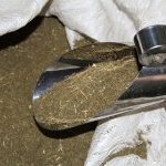 Subproduto da artemisia vai ser reaproveitado pela S Cosméticos do Bem