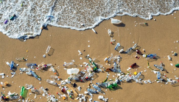 Do oceano ao corpo humano, microplásticos estão invadindo todos os espaços