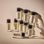 LENVIE adquiriu experiência em perfumaria para casa para depois lançar fragrâncias de uso pessoal