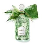 Guerlain lança Bee Bottle em edição limitada com decoração da Maison Vermont (Foto: Guerlain)