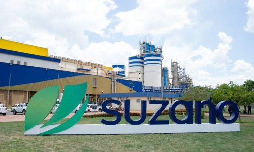 Suzano e Natura formam consórcio para embalagens sustentáveis