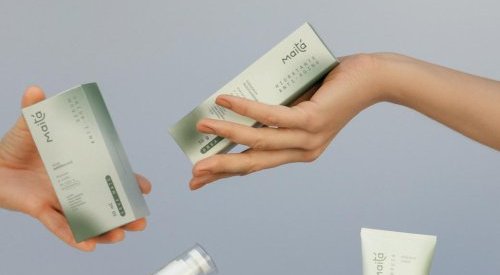 “Serra Catarinense é um achado para indústria de cosmético”, diz CEO da Maitá