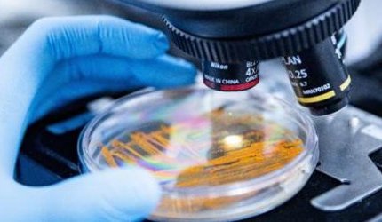 Apoena Biocare traz à in-cosmetics um banco microbiano exclusivo