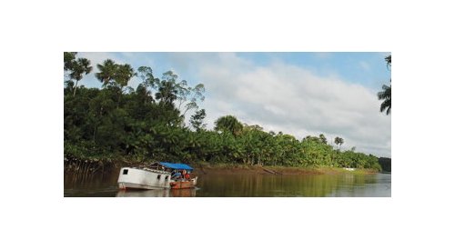 O futuro das empresas depende da valorização da biodiversidade