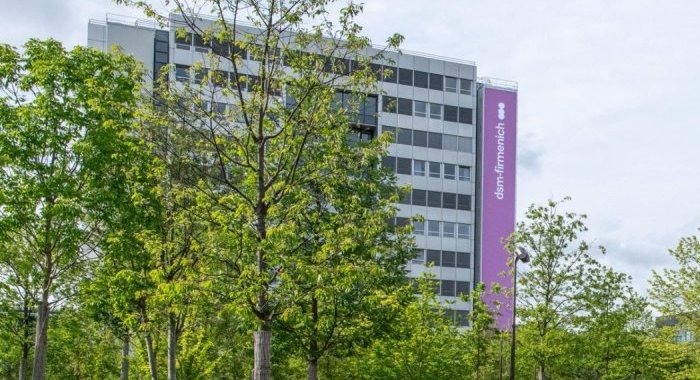 DSM-Firmenich cresce 5% no semestre, impulsionada por fragrâncias