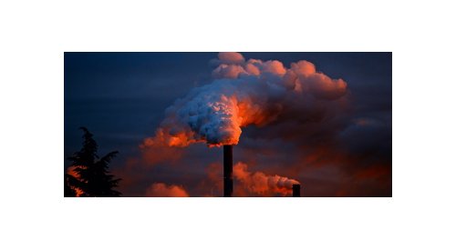 Anti-pollution active ingredients are a rising trend for hair care products
