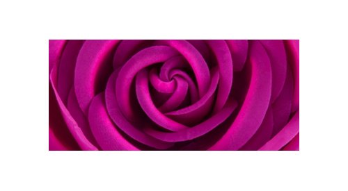 Bond No. 9's Spring Fling a vivacious feminine floral
