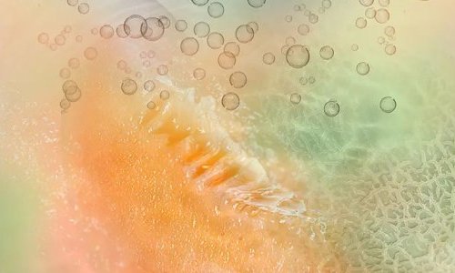 A Givaudan lança um precursor de fragrância para cuidados capilares