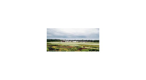Symrise opens production facility in Brazilian Amazon Region