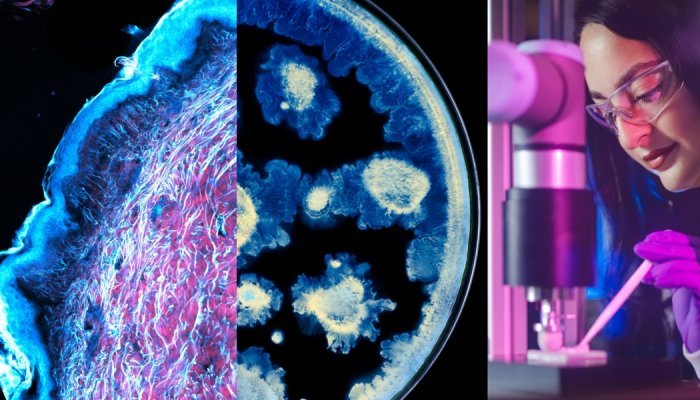 L'Oréal e o Instituto Pasteur unem forças para avançar na pesquisa sobre a pele