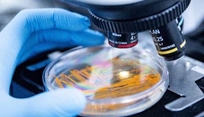 Apoena Biocare traz à in-cosmetics um banco microbiano exclusivo