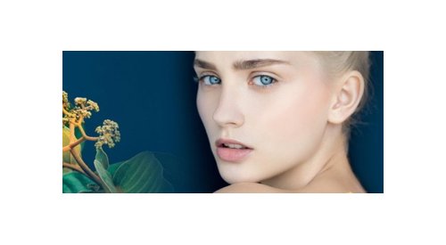 Seppic: um ativo natural para peles com tendência à acne