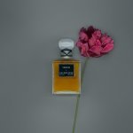Kering Beauté relança perfumes Balenciaga com coleção de 10 fragrâncias (Foto: Balenciaga ©)