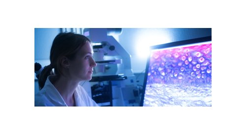 "A bioimpressão permite realizar modelos de pele com estruturas mais complexas", explica Sandrine Héraud, da LabSkin Creations