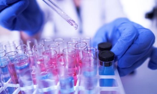 Células de rosa e plâncton termal: a biotecnologia a serviço dos cosméticos