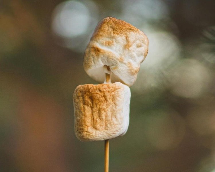 Perfumaria gourmand vive nova era com fragrâncias complexas e multissensoriais