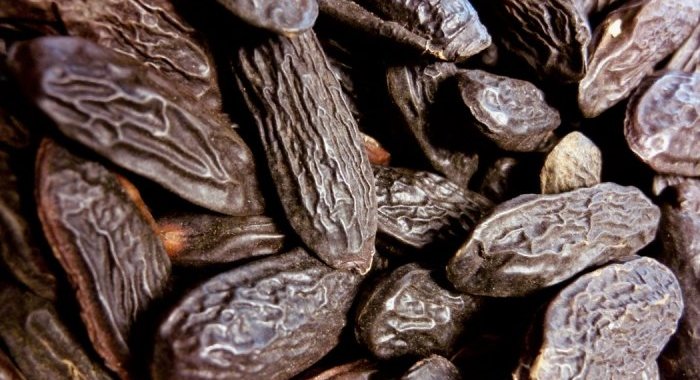 Fragrâncias: O Tonka Bean CO2 Absolute completa a linha sustentável da LMR