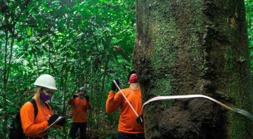 Dow e Natura colaboram em projeto para desenvolvimento econômico no Pará