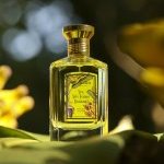 Granado exalta a brasilidade em nova fragrância vintage ‘Yes, Nós Temos Banana!' (Foto: divulgação / Granado)