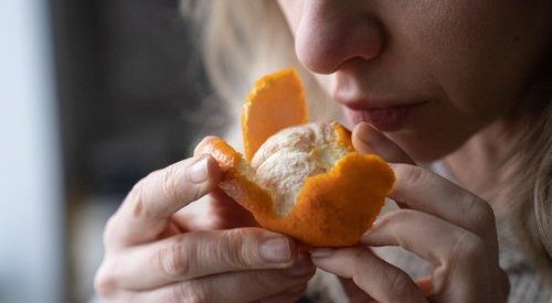 IFF lança Science of Wellness no Brasil para atender os desejos do consumidor