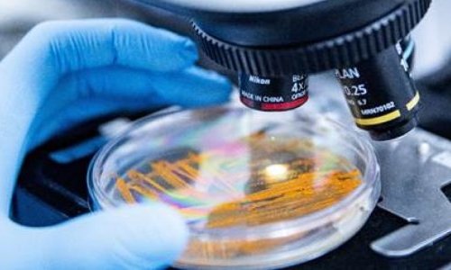 Apoena Biocare traz à in-cosmetics um banco microbiano exclusivo