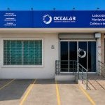 Octalab atua há mais de duas décadas no mercado magistral