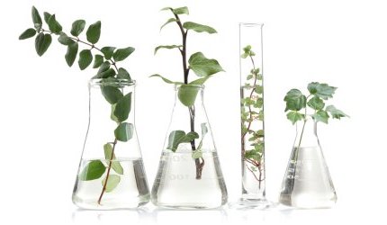 Evonik anuncia novo distribuidor para a linha de ativos Novachem na Argentina