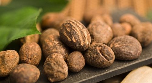 Matérias-primas: Nigéria veta exportação de nozes de karité cruas