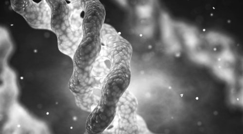 Evonik faz parceria com a Jland Biotech para colágeno vegano em cosméticos