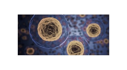 Compreender os mecanismos de comunicação intercelular no tecido cutâneo