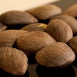 Sementes de pracaxi, matéria prima do Beracare BBA