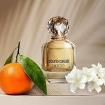 Interparfums prolonga parceria com Roberto Cavalli por mais 20 anos (Foto: Roberto Cavalli)