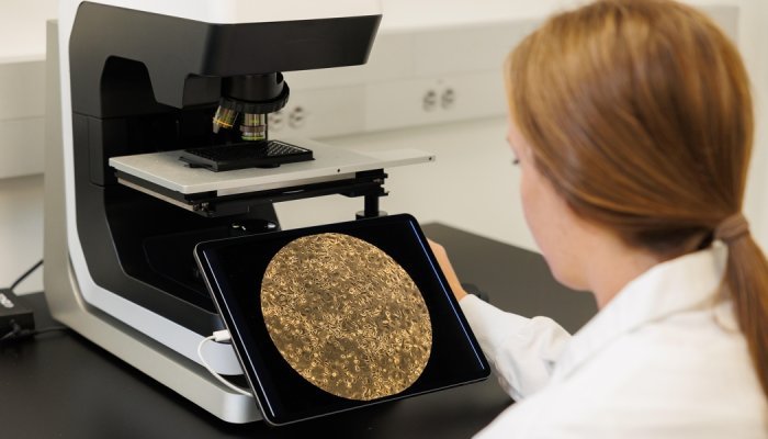 Debut aposta em ativo biotecnológico para combater a hiperpigmentação
